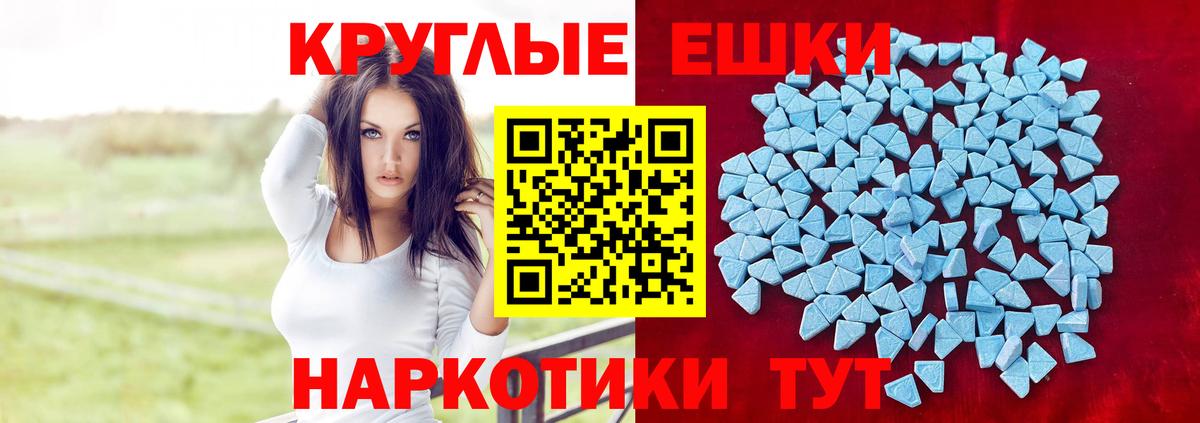 Строитель  Ecstasy Philipp Plein  Ecstasy Cube  Ecstasy  мориарти как зайти  Вход с VPN 