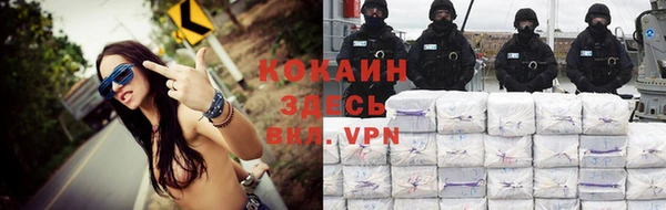 прущие грибы Майский