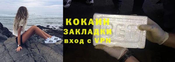 прущие грибы Майский