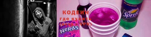 прущие грибы Майский