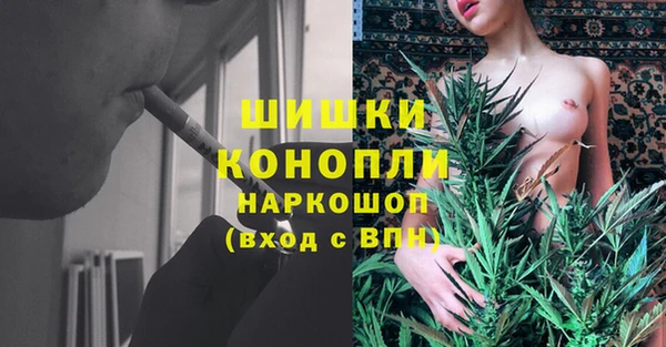 прущие грибы Майский