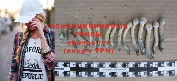 mdpv Магадан