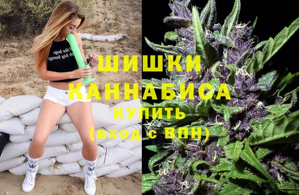 прущие грибы Майский