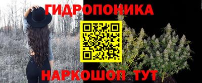 PSILOCYBIN Кинель