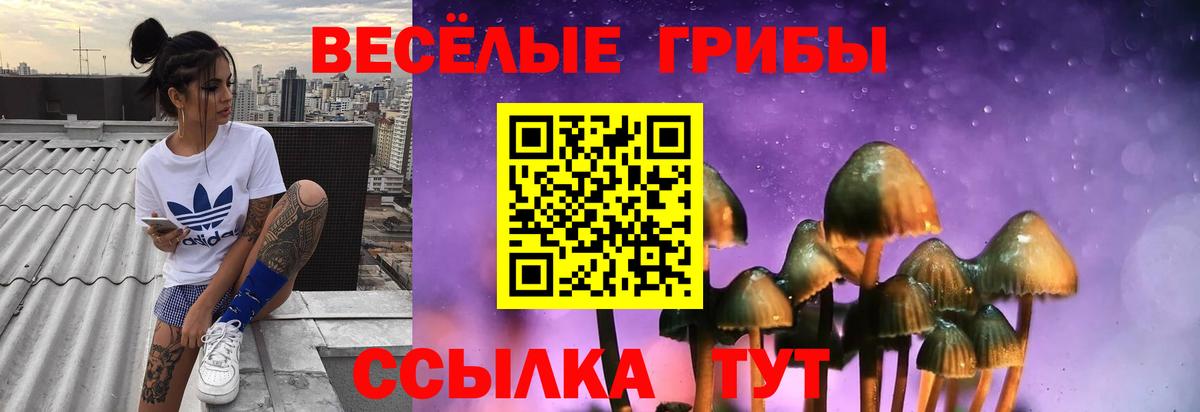 Строитель  Псилоцибиновые грибы мицелий  Вход с VPN 